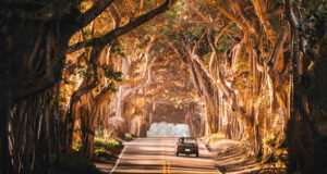 Martin Grade Scenic Highway, central Atlantic coast. Photo credit: Jack Harding for VISIT FLORIDA