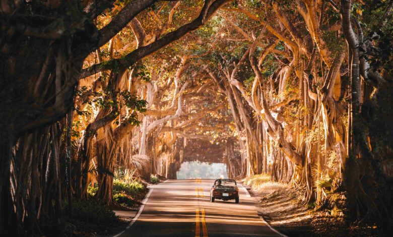 Martin Grade Scenic Highway, central Atlantic coast. Photo credit: Jack Harding for VISIT FLORIDA