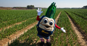 Yumion mascot in a Vidalia onion field.