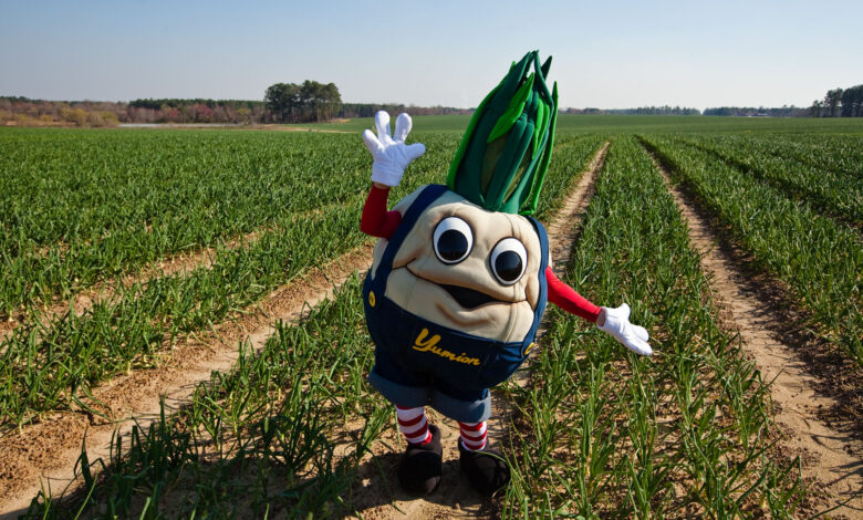 Yumion mascot in a Vidalia onion field.